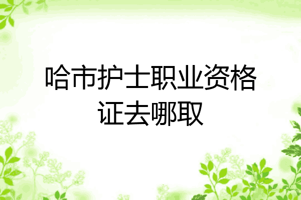 哈市护士职业资格证去哪取