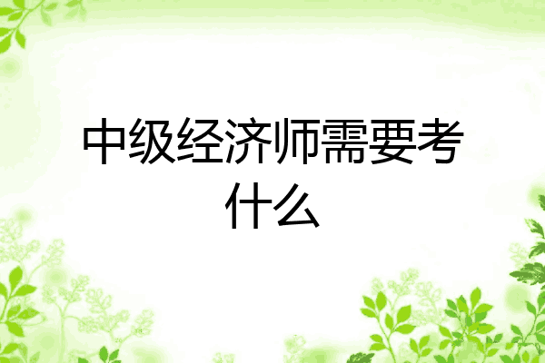 中级经济师需要考什么