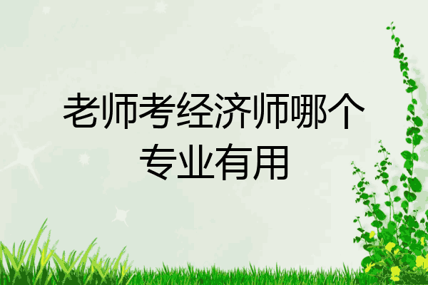 老师考经济师哪个专业有用