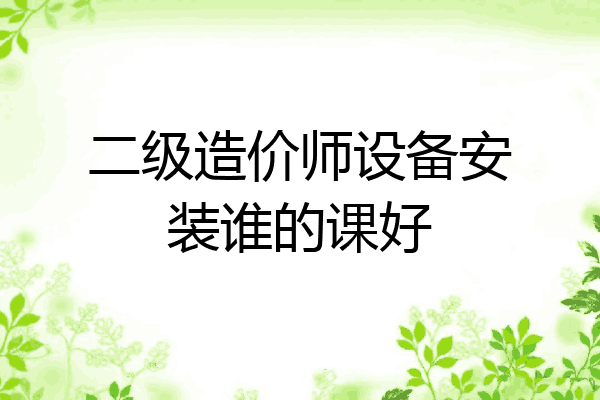二级造价师设备安装谁的课好