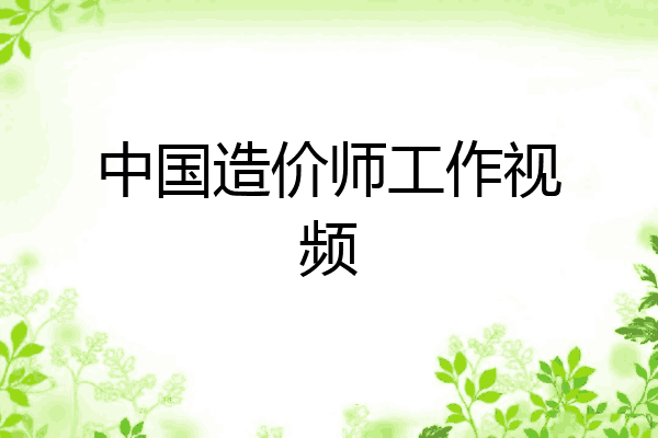 中国造价师工作视频