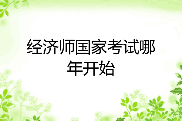 经济师国家考试哪年开始