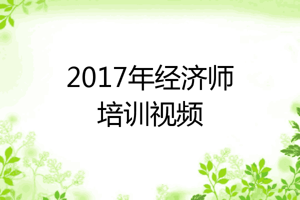 2017年经济师培训视频
