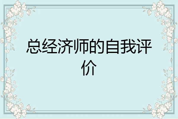 总经济师的自我评价