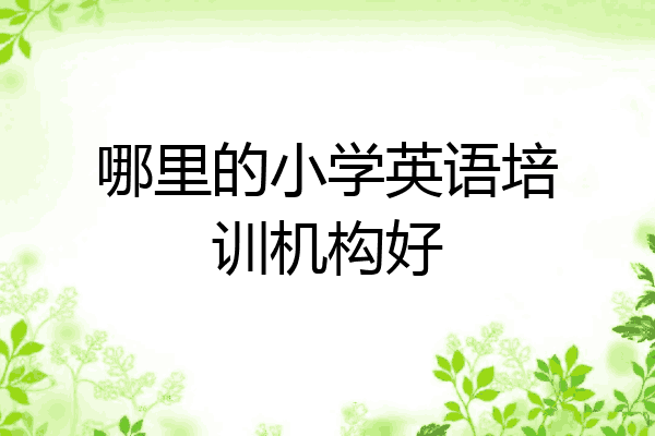哪里的小学英语培训机构好