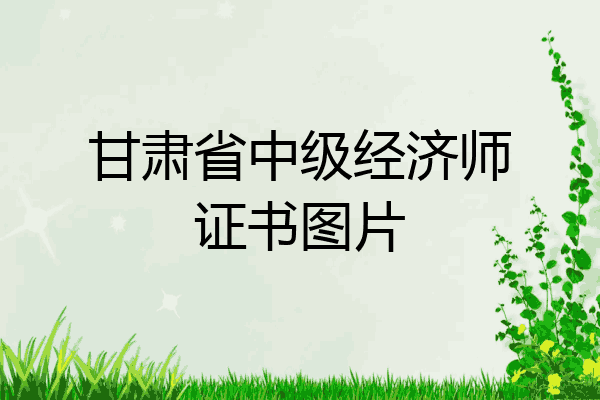 甘肃省中级经济师证书图片
