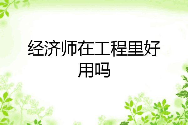 经济师在工程里好用吗
