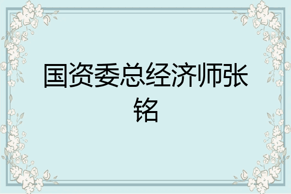 国资委总经济师张铭