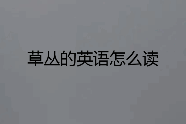 草丛的英语怎么读