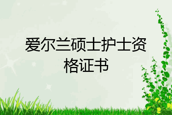 爱尔兰硕士护士资格证书