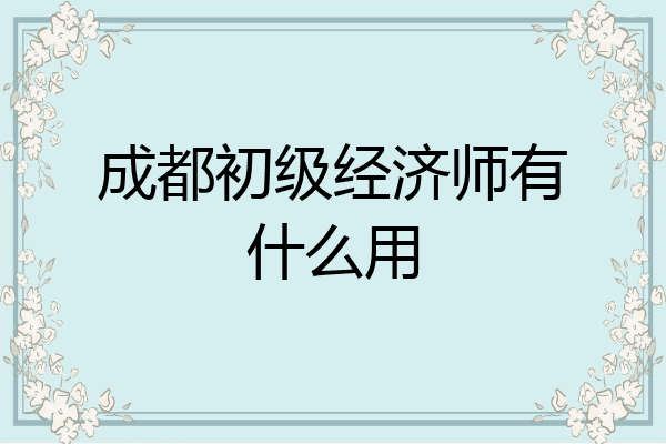 成都初级经济师有什么用