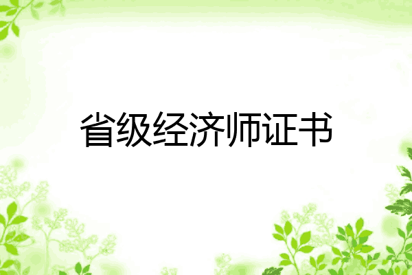 省级经济师证书