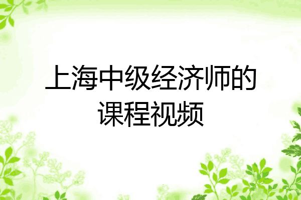 上海中级经济师的课程视频