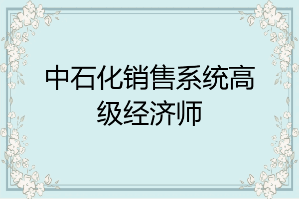 中石化销售系统高级经济师