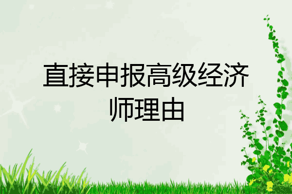 直接申报高级经济师理由