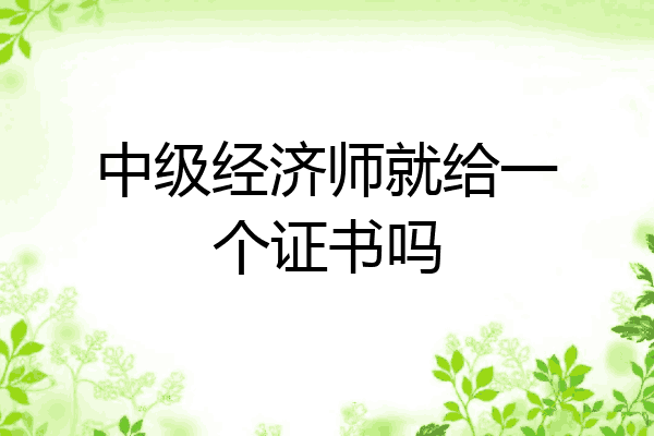 中级经济师就给一个证书吗
