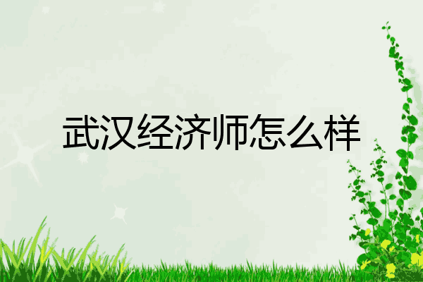 武汉经济师怎么样