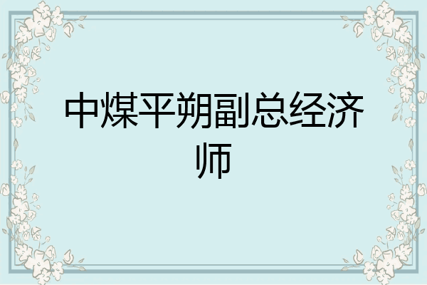 中煤平朔副总经济师