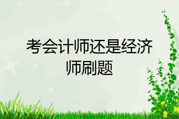 考会计师还是经济师刷题