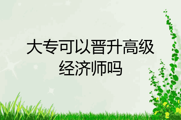 大专可以晋升高级经济师吗