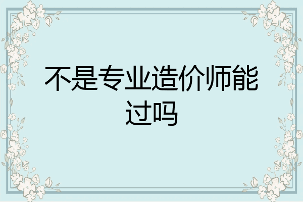 不是专业造价师能过吗