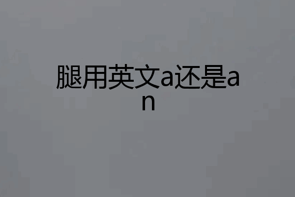 腿用英文a还是an