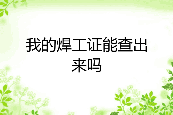 我的焊工证能查出来吗