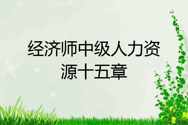 经济师中级人力资源十五章