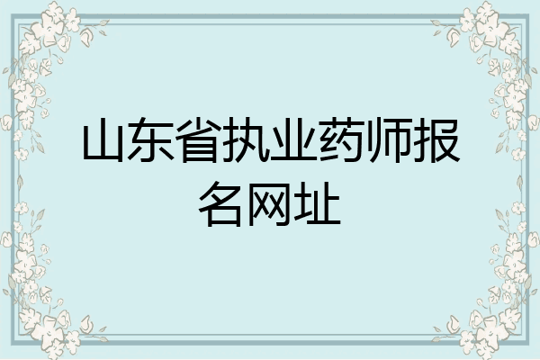 山东省执业药师报名网址