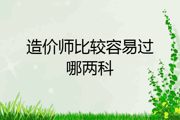 造价师比较容易过哪两科