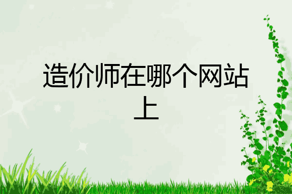造价师在哪个网站上