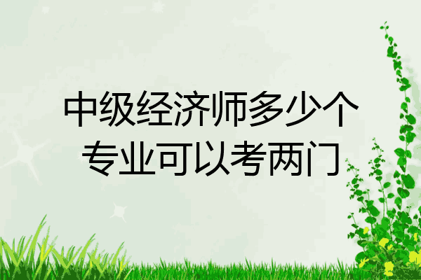 中级经济师多少个专业可以考两门