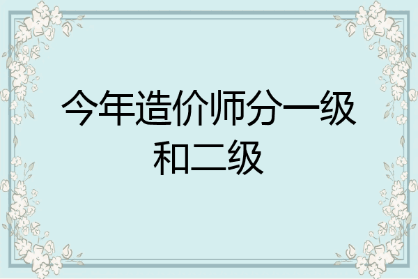 今年造价师分一级和二级