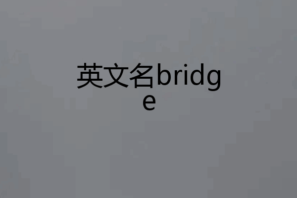 英文名bridge