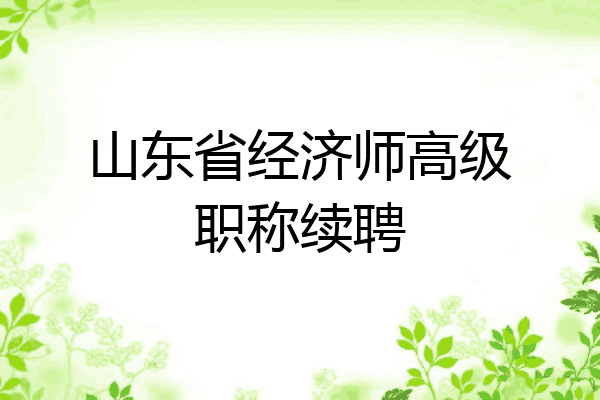 山东省经济师高级职称续聘