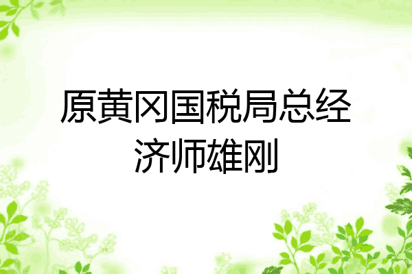 原黄冈国税局总经济师雄刚