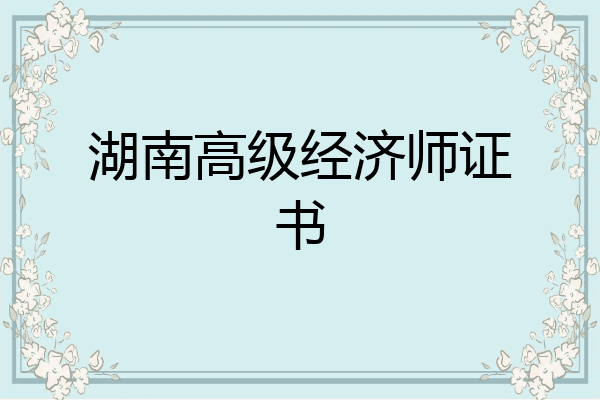 湖南高级经济师证书