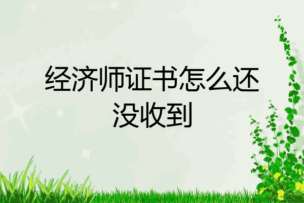 经济师证书怎么还没收到