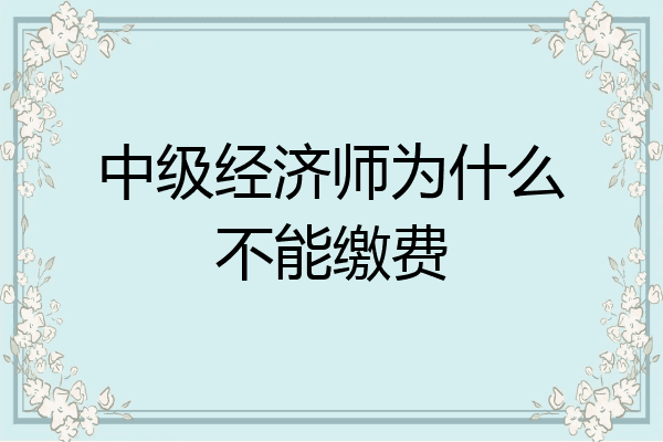 中级经济师为什么不能缴费