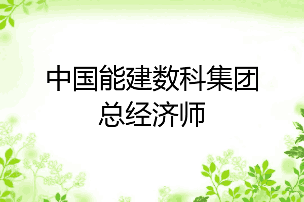 中国能建数科集团总经济师