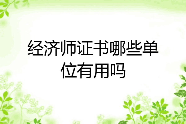 经济师证书哪些单位有用吗