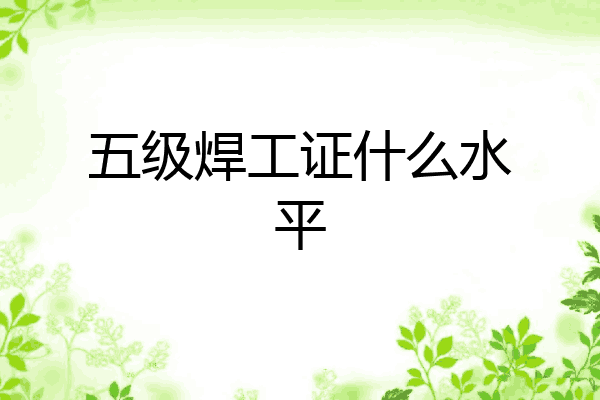 五级焊工证什么水平