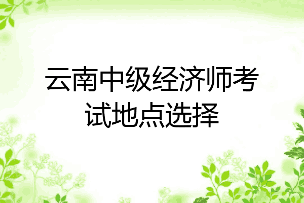 云南中级经济师考试地点选择
