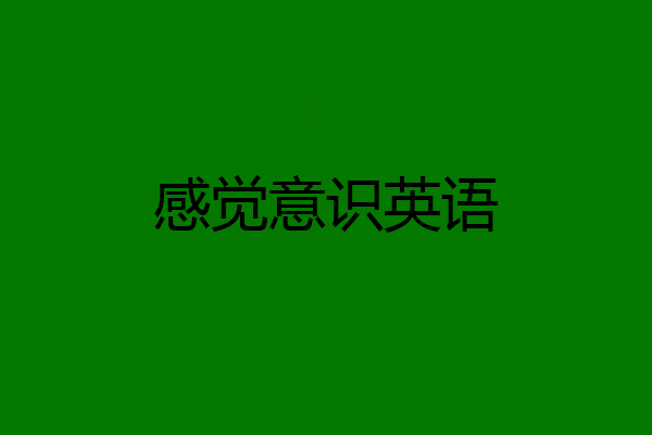 感觉意识英语