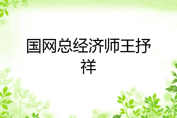 国网总经济师王抒祥
