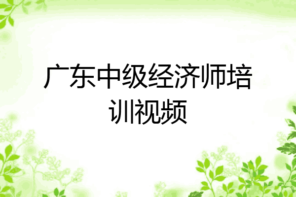 广东中级经济师培训视频