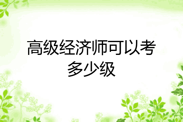 高级经济师可以考多少级