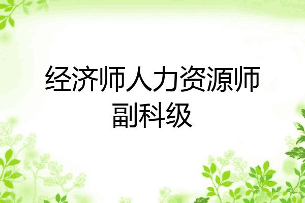 经济师人力资源师副科级