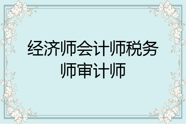 经济师会计师税务师审计师