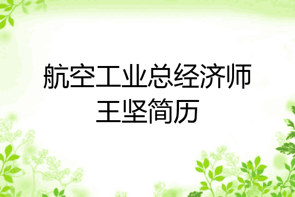 航空工业总经济师王坚简历